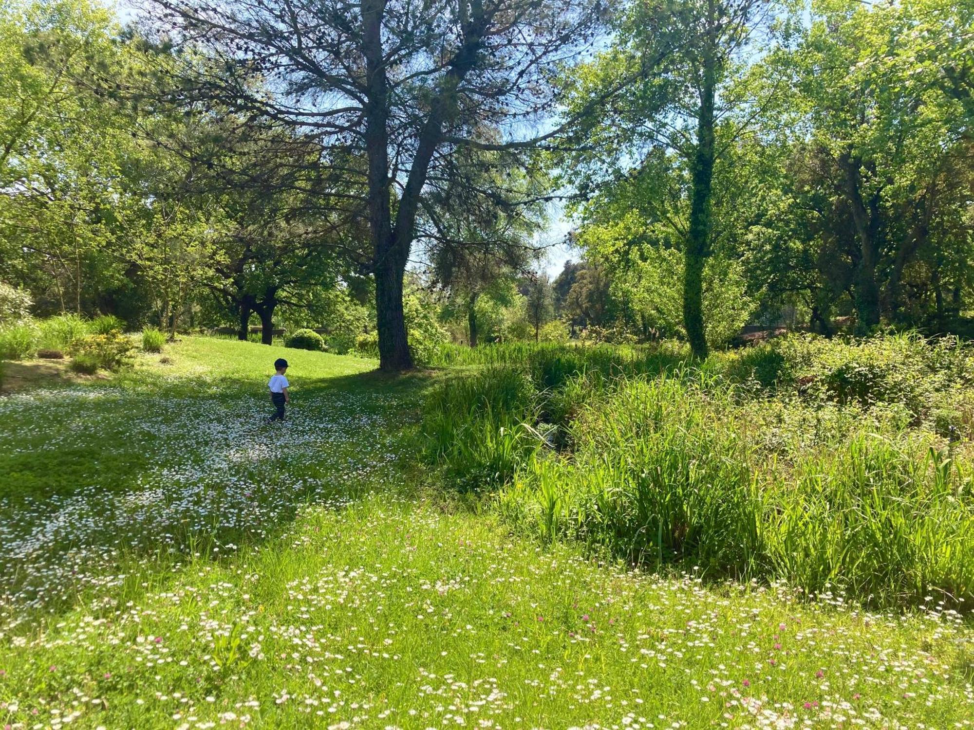 גרימו Les Restanques Vue Mer Roses 1070 Rez De Jardin מראה חיצוני תמונה